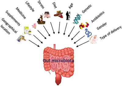 Interplay of Good Bacteria and Central Nervous System: Cognitive Aspects and Mechanistic Considerations